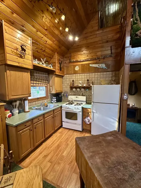 Kitchen - 2410 N Manistee River Rd, Grayling, MI 49738 photo 2 of 5