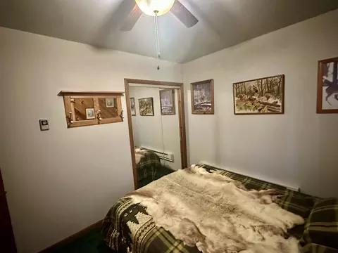Bedroom - 2410 N Manistee River Rd, Grayling, MI 49738 photo 3 of 6