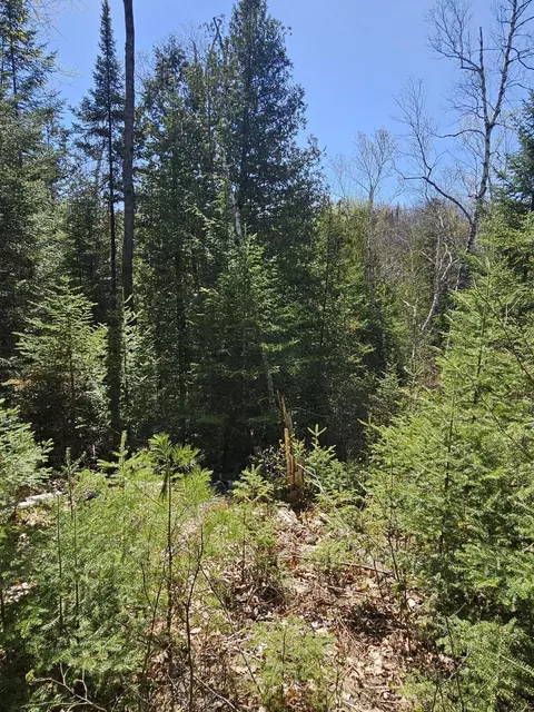 2 95 Ac Squires Dr #2.95 ACRES, Mio, MI 48647