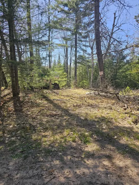 2 95 Ac Squires Dr #2.95 ACRES, Mio, MI 48647 photo 8