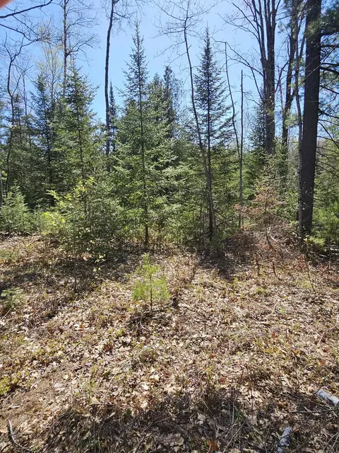 2 95 Ac Squires Dr #2.95 ACRES, Mio, MI 48647 photo 3