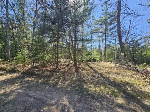 2 95 Ac Squires Dr #2.95 ACRES, Mio, MI 48647 photo 7