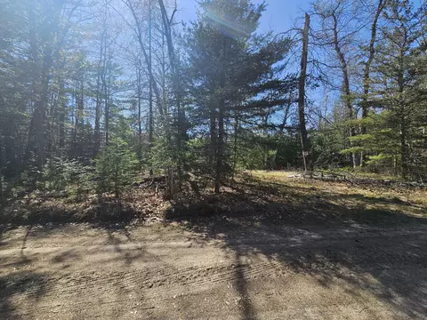 2 95 Ac Squires Dr #2.95 ACRES, Mio, MI 48647 photo 9