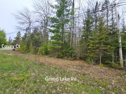 lot204 Esau Ter #COVEY CT/GRAND LAKE RD, Presque Isle, MI 49777