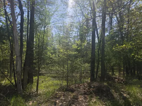 lot S 9-10 N Lakeshore Dr #080-013-300-001-00, Harrisville, MI 48740