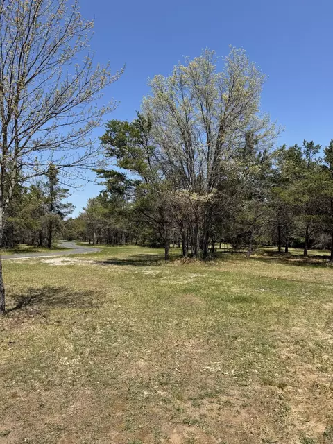 Other - 1724 E North Down River Rd, Grayling, MI 49738 photo 19 of 20