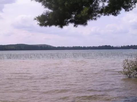 Parcel 5 Ray Avenue, Grayling, MI 49738