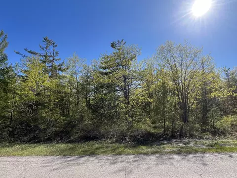 lot165 Pineview Dr, Presque Isle, MI 49777