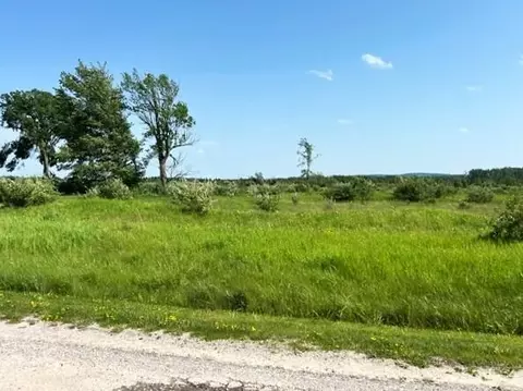 Unit 52 Sunset Boulevard, Alanson, MI 49706 photo 9