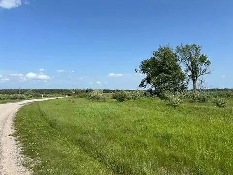 Unit 52 Sunset Boulevard, Alanson, MI 49706 photo 10
