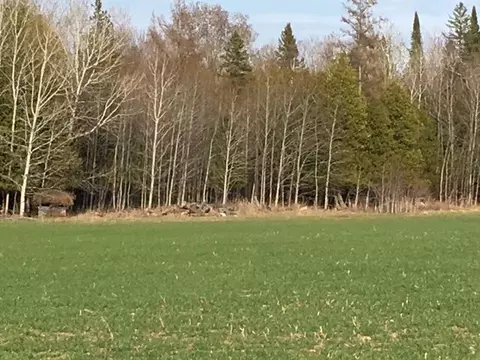 14390 Taylor Hawks Rd #80 ACRES, Lachine, MI 49753