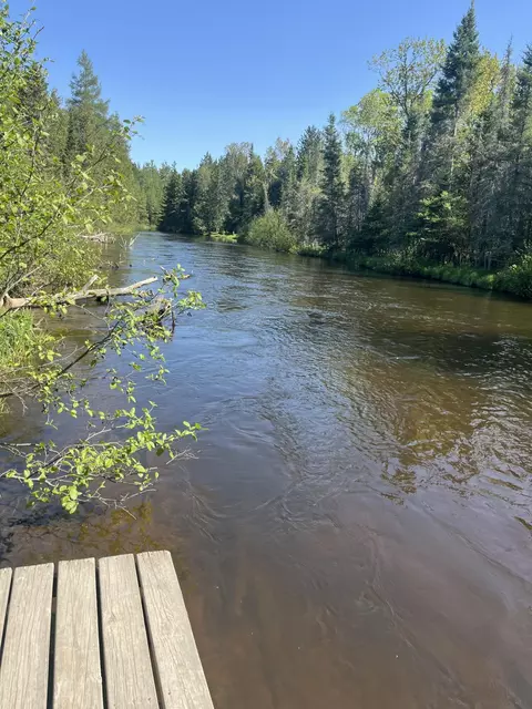 1655 Speckled Trout Trl, Grayling, MI 49738