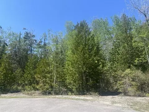 lot138 Tiptop Ct W, Presque Isle, MI 49777
