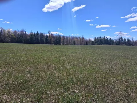 V/l 64.97 N M-65 Highway, Curran, MI 48728