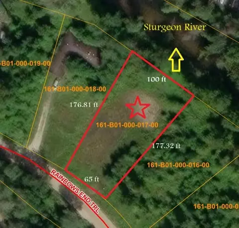 4229 Rainbow End Trl #LOT 17, Indian River, MI 49749