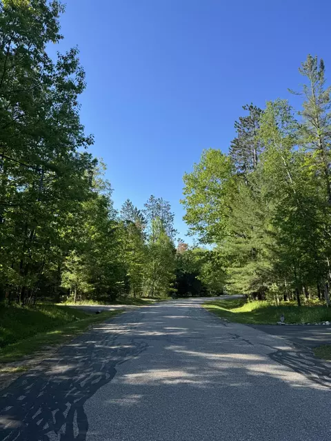 6310 Link Blvd, Indian River, MI 49749 photo 9