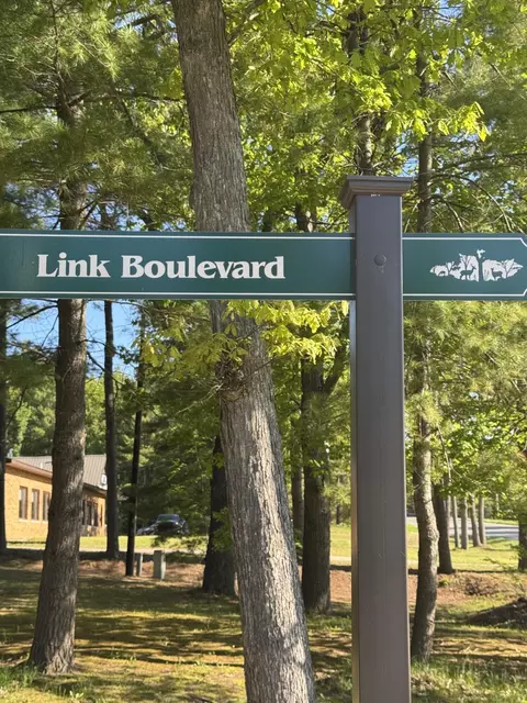 6310 Link Blvd, Indian River, MI 49749 photo 3