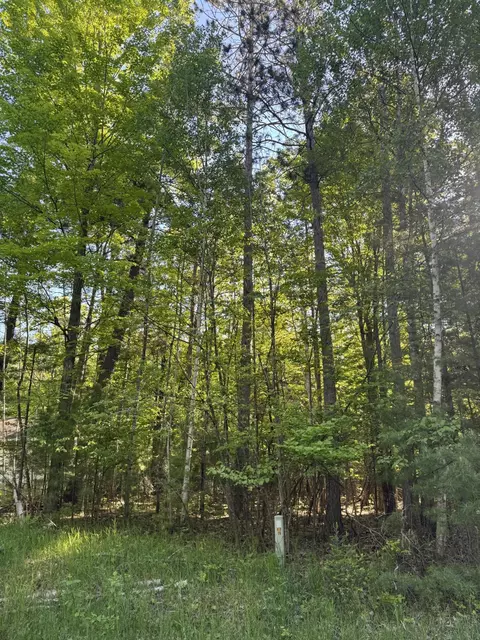 6310 Link Blvd, Indian River, MI 49749 photo 7