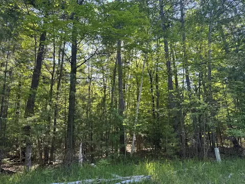 6310 Link Blvd, Indian River, MI 49749