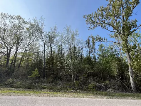 lot102 Laurelhill Cir, Presque Isle, MI 49777