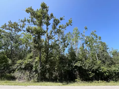 lot102 Laurelhill Cir, Presque Isle, MI 49777