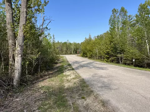 lot102 Laurelhill Cir, Presque Isle, MI 49777