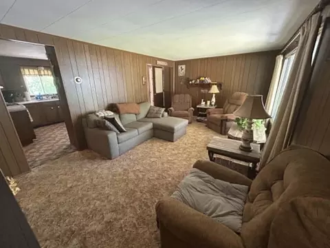 Living - 4358 Mckinley Rd, Mio, MI 48647 photo 3 of 3