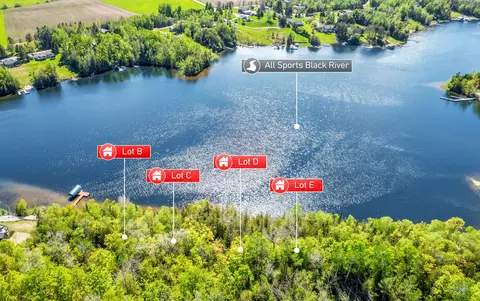 V/L N Black River Road #PARCEL E, Cheboygan, MI 49721