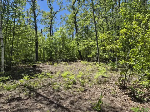 187 Primrose Trail #LOT S 187-188, Gaylord, MI 49735