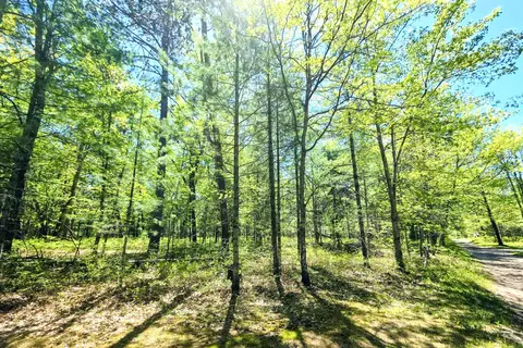 lot S 30-33 Madison Ave #0.25 AC, Grayling, MI 49738