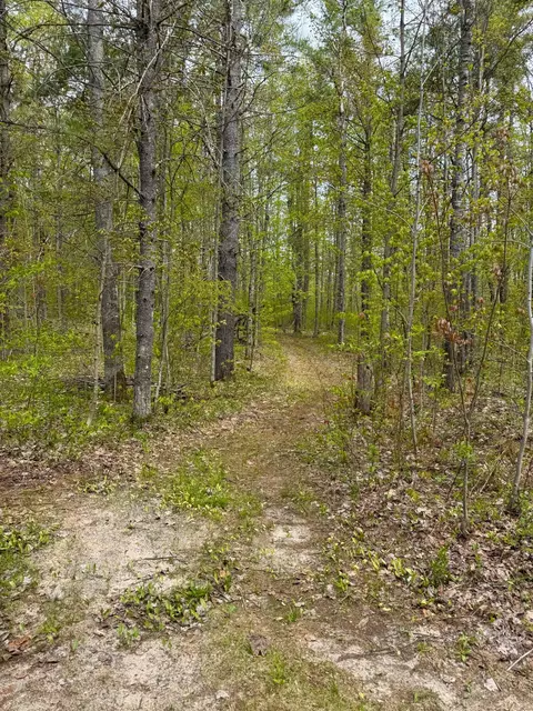 5469 Trails End Rd, Frederic, MI 49733 photo 20