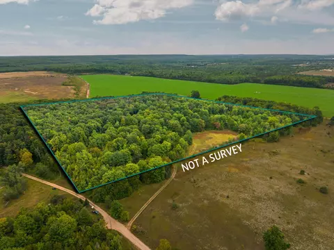 4120 Blackberry Ln #32.2 ACRES, Elmira, MI 49730