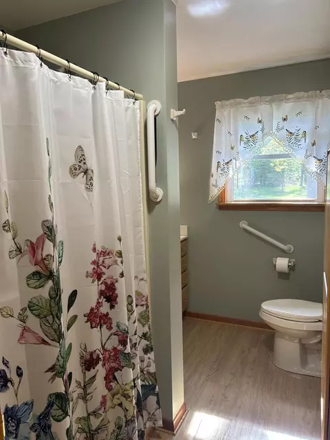Bath - 177 Hawks Rd, Lachine, MI 49753 photo 2 of 4