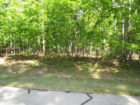11190 Hassler Woods Trl, Alanson, MI 49706