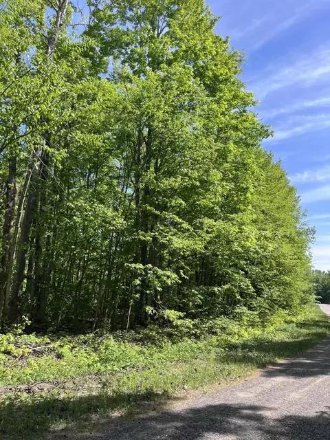 lot232 Laming Cir, Elmira, MI 49730