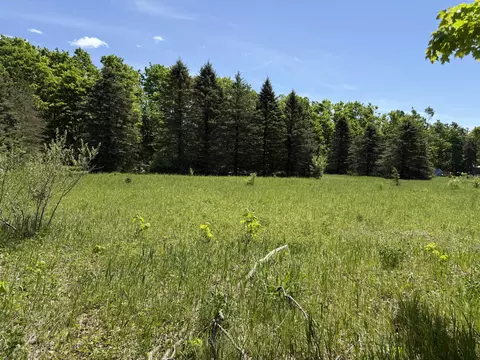 621 Franckowiak Rd, Elmira, MI 49730