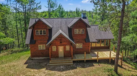 8100 Nature Ridge Trl, Vanderbilt, MI 49795
