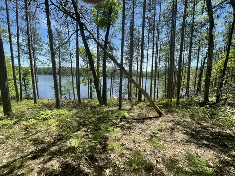 Parcel A Nuenfelt Road, Lewiston, MI 49756