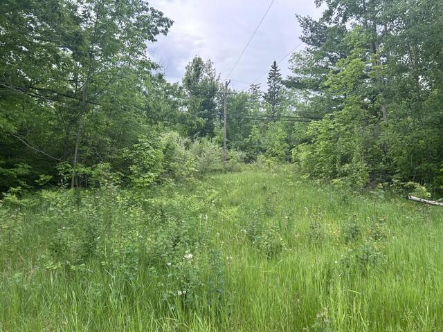 0 N 75 Ac N Us-23 #0.75 ACRES, Spruce, MI 48762