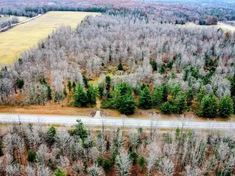 38 N 76 Ac N Michigan 65 Hwy #38.76 ACRES, Curran, MI 48728