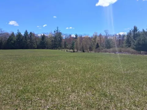 26 21 Ac Crowell Rd #26.21 ACRES, Curran, MI 48728