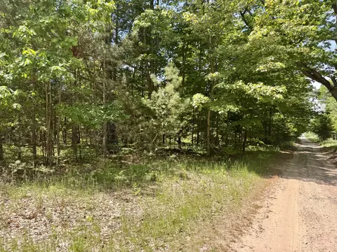 Par 5 Needles Road, Indian River, MI 49749