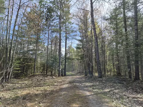 Par 13C Ocqueoc Lake Road #40.66 ACRES, PARCEL 13C, Millersburg, MI 49759