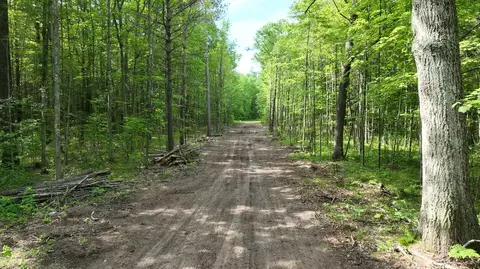 0 98 Ac State St #0.98 ACRES, Roscommon, MI 48653