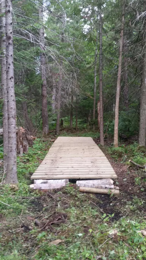 Other - 3036 Wurm Rd, Wolverine, MI 49799 photo 5 of 9
