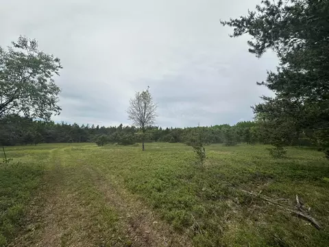 Exterior - 323 Goline Rd, Grayling, MI 49738 photo 11 of 13