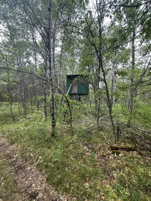 Exterior - 323 Goline Rd, Grayling, MI 49738 photo 13 of 13