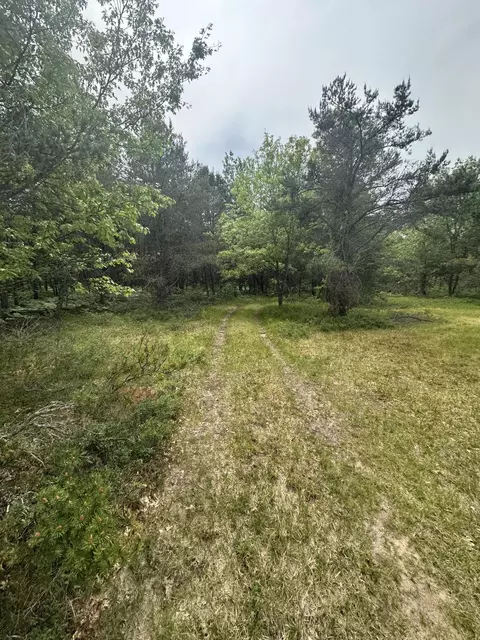 Exterior - 323 Goline Rd, Grayling, MI 49738 photo 12 of 13