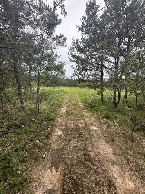 Other - 323 Goline Rd, Grayling, MI 49738 photo 4 of 7