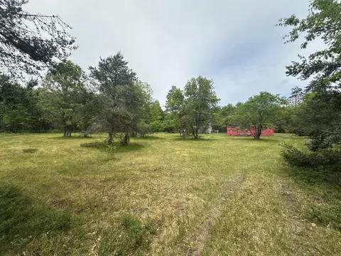 Exterior - 323 Goline Rd, Grayling, MI 49738 photo 10 of 13